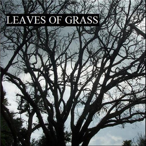 (but) she has to break down - leaves of grass - qq音樂-千萬正版