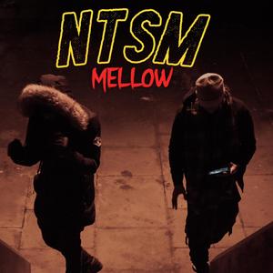 NTSM (Explicit)