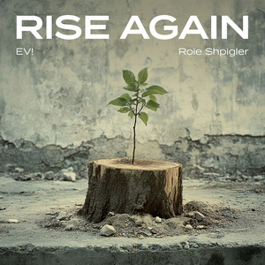 Rise Again