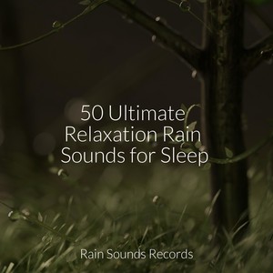 Relaxing Music - Flowing Secrets of the Creek