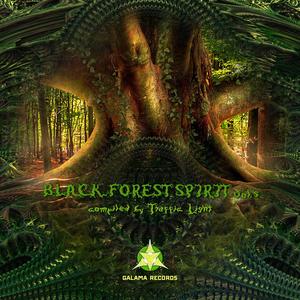 Black Forest Spirit, Vol. 5