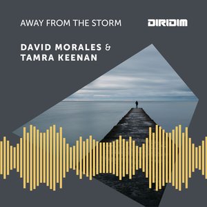 Away from the Storm (Disco Madness Mix)