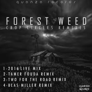 Crop Circles (Blas Miller Remix)