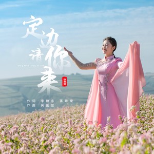 定边请你来伴奏 (伴奏)