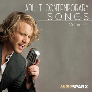 Adult Contemporary Songs Volume 2