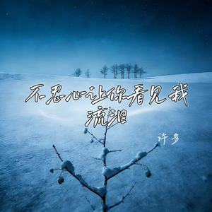 不忍心让你看见我流泪