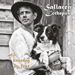 Sallaren