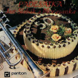 Viděla jsem šohajíčka