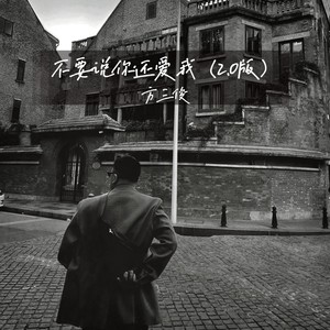 不要说你还爱我 (2.0版)