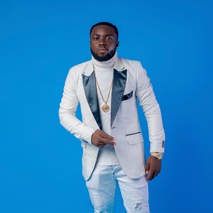 Stubborn Fly(feat. Oluwa ice)