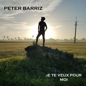 Je Te Veux Pour Moi