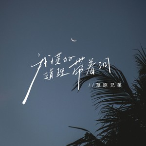 我懂的道理带着泪