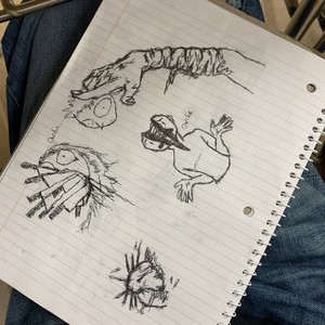 FRESHMANBOYFRIEND (Explicit)