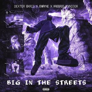 BIG IN THE STREETS (feat. Swayne & Passage MyNigga) (Explicit)