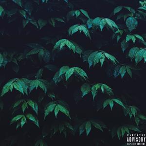 ÐÑÐ¾Ð²Ð¸Ð½ÑÐ¸Ñ (Original Mix)