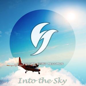 Into the Sky (Remix)