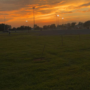 This Is Where Life Goes