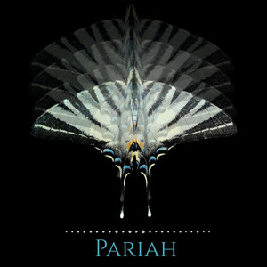 Pariah