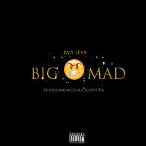 BIG MAD (feat. Chicano Rico, Elz & Scotty Boi) [Explicit]