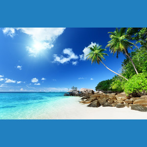 云水禅心伴奏 320