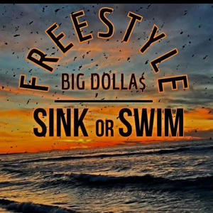 Sink Or Swim (freestyle) [Explicit]