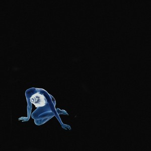 THE END