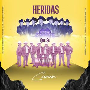 Heridas Que Se Curan (feat. Conjunto Dezzendente)