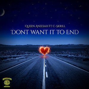 Don't Want it To End