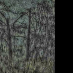 P5 on a Fit (feat. Kicheal Paris) (Explicit)