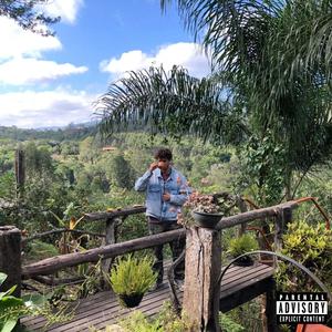 When I Want (feat. Ill Millz) (NO FEATURE SMOKE BLUNTS) (Explicit)