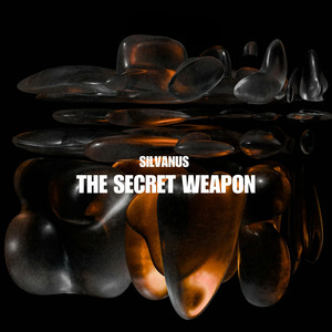 The Secret Weapon (Radio Edit)