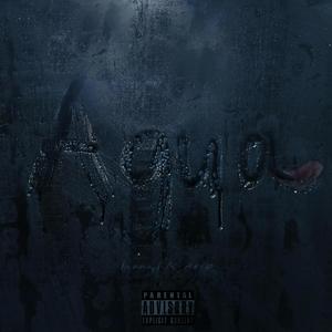 Agua: The Album (Explicit)