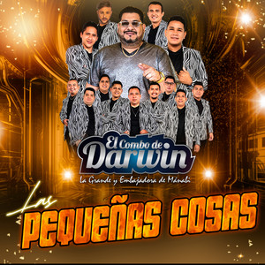 Las Pequeñas Cosas