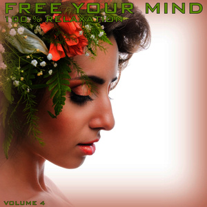 Free Your Mind: 100% Relaxation, Vol. 4