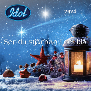 Ser du stjärnan i det blå (Idol 2024)