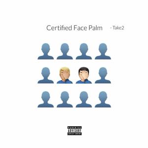 Certified Face Palm (Explicit)