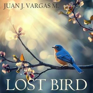 Lost Bird