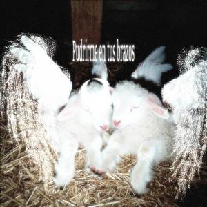 Pudrirme en tus brazos