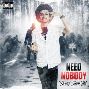 Need Nobody (Explicit)