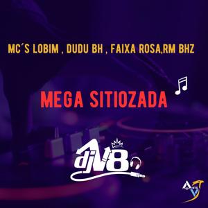 MTG - MEGA SITIOZADA (feat. MC LOBIM, MC DUDU BHZ, MC FAIXA ROSA & MC RM BHZ) (DJ V8 Remix|Explicit)