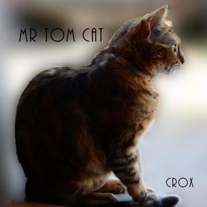 Mr Tom Cat