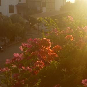 memories of childhood