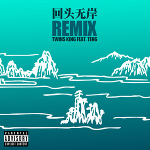 回头无岸remix