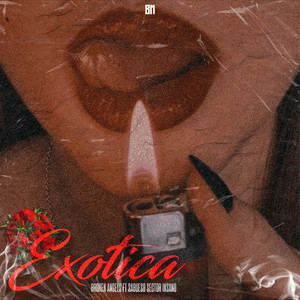 Exotica (Explicit)