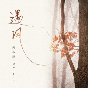遇风