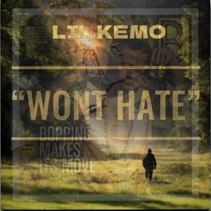 Won't Hate (Explicit)