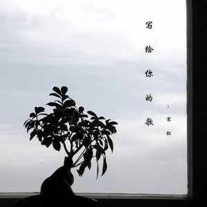 写给你的歌