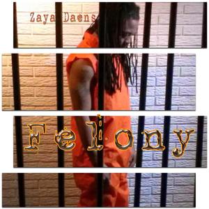 Felony (feat. Sonny Black) [Explicit]