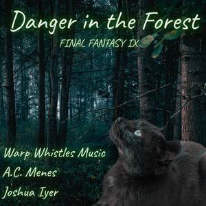 Danger in the Forest (From "Final Fantasy IX") (Acoustic Chamber Cover)