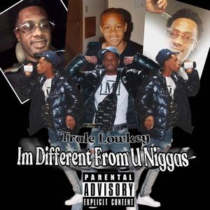 Im Different From U Niggas (Explicit)